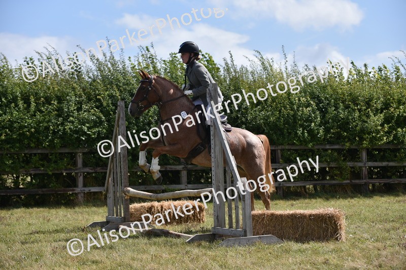 20250831-3992 - Class 12 - Working Hunter Pony 14.2hh and Under