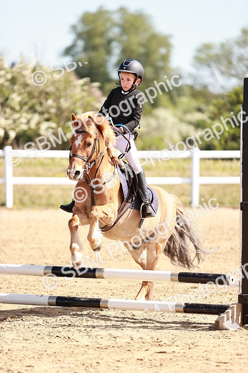 SBM_006895 - Class 2 - 50cm