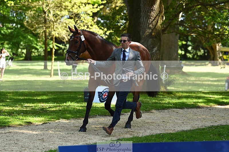 230524-153912-00415 - 371-JERPOINT_ECLIPSE-Max_Gordon-WEDTrotUp+DR