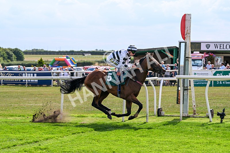 260826-Race 2-Lady Gormire-2383 - Race 2 14:45 Berber Leather Maiden Stakes