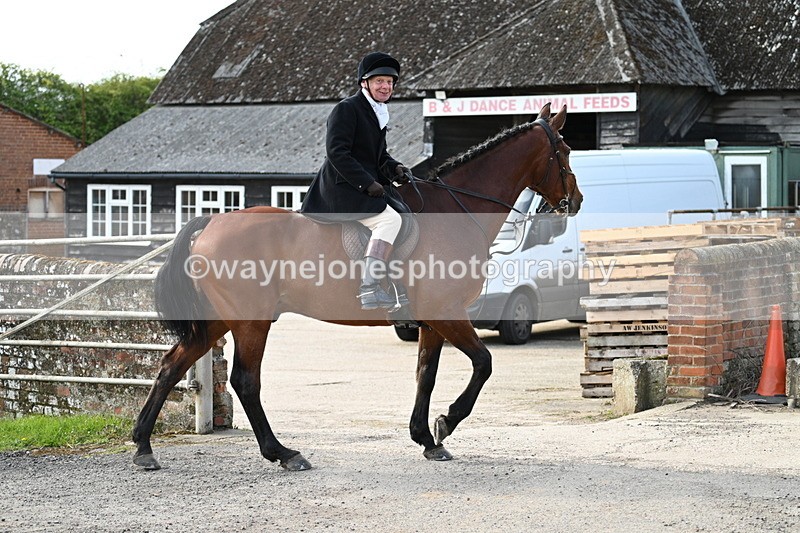 WJ7_9970 - Walk Home