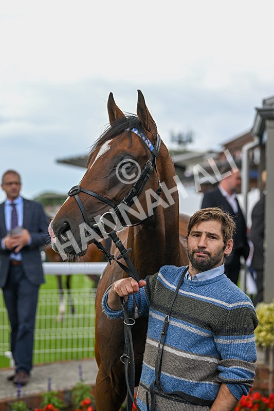 060724-Race 1-El Burhan-3336 - Race 1