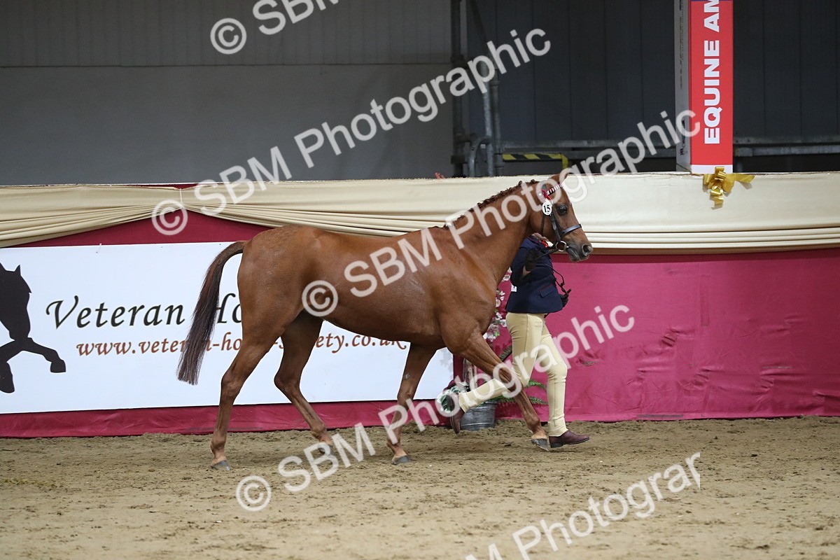 SBM_06386 - Class 9R Regional- IH Pre Vet