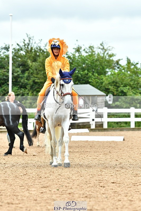 230804A-103118-01940 - Musical Ride