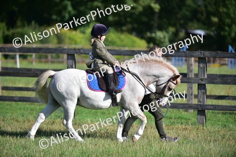20260906-0503 - Class 6 - Minimus Jumping