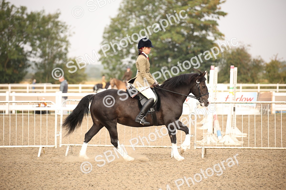 SBM_09765 - Class 401 Riding Club Pony