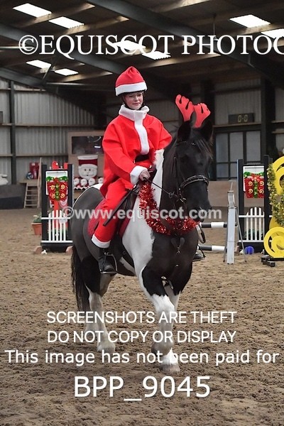 BPP_9045 - CLASS 3 50CM-70CM Pairs Show Jumping