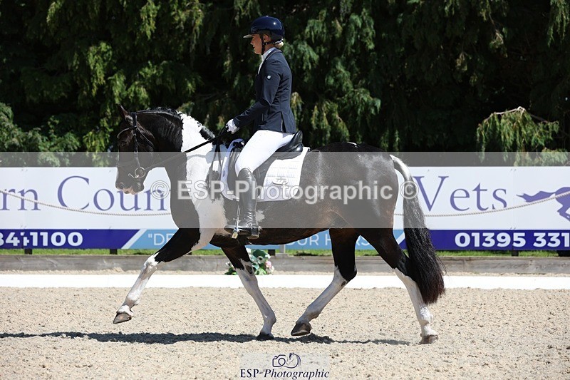 230811-140638-01964 - Cls 1 Prelim Bronze 13.30 to 14.50 break