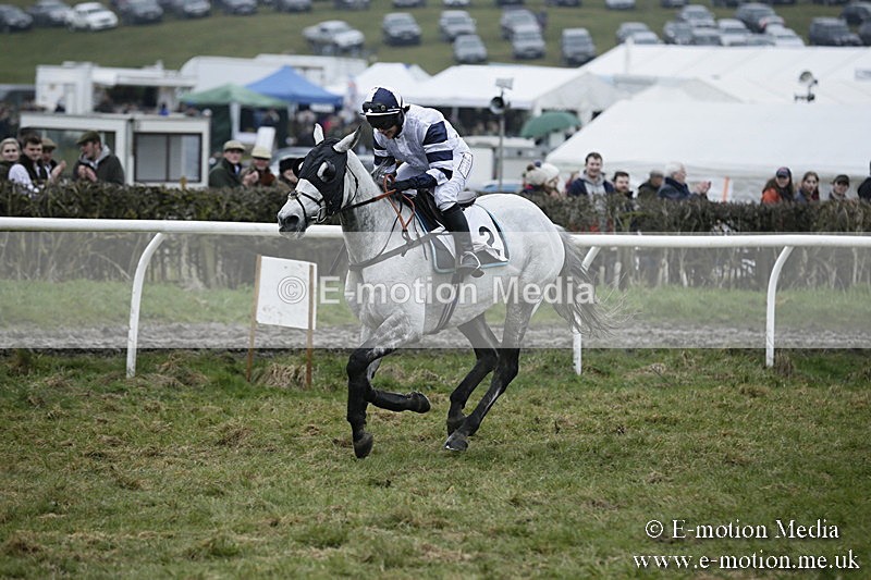 PtP 020418 -52 - Old Berks Point-to-Point Races Easter Monday 02/04/18