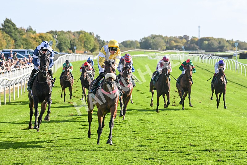 191024-Race 3-Jachin-4195 - Race 3