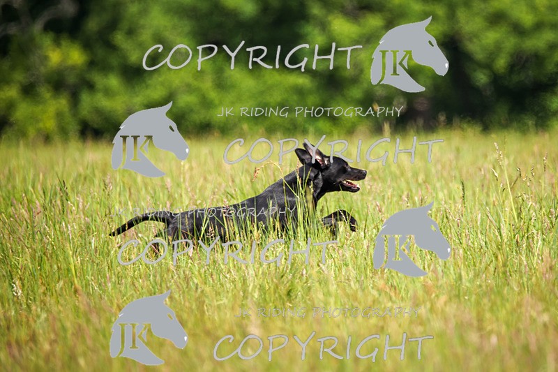 2R6A8348 - 8 Timothy