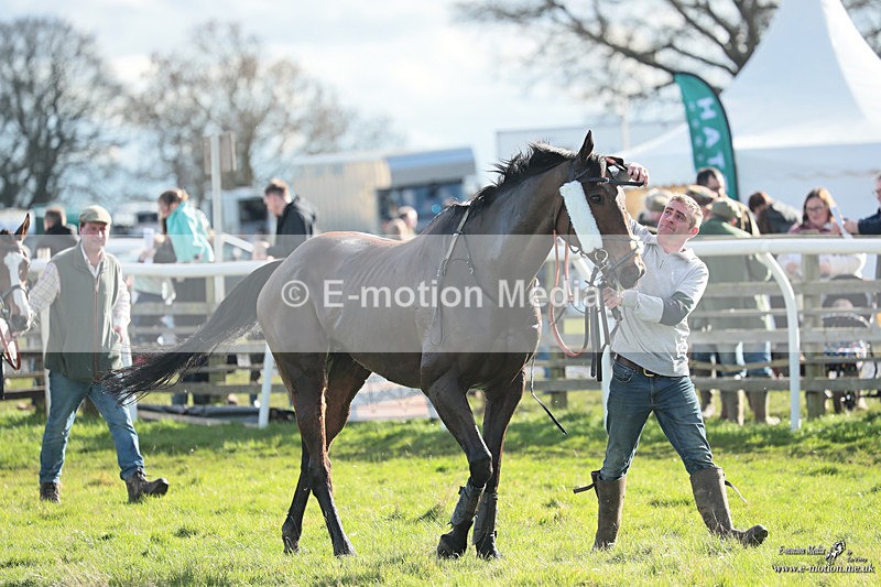 PtP 170324 2898 - Oakley Hunt PtP Brafield-On-The-Green 17/03/24
