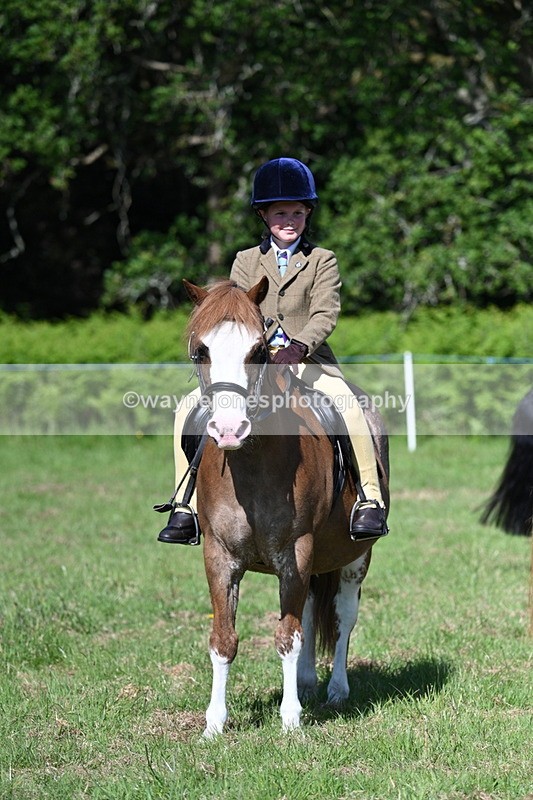 WJ7_0379 - Class 8 First Rally Pony