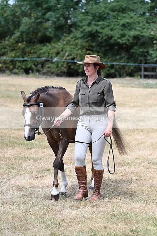 WJ7_2086 - Prettiest Mare Champs