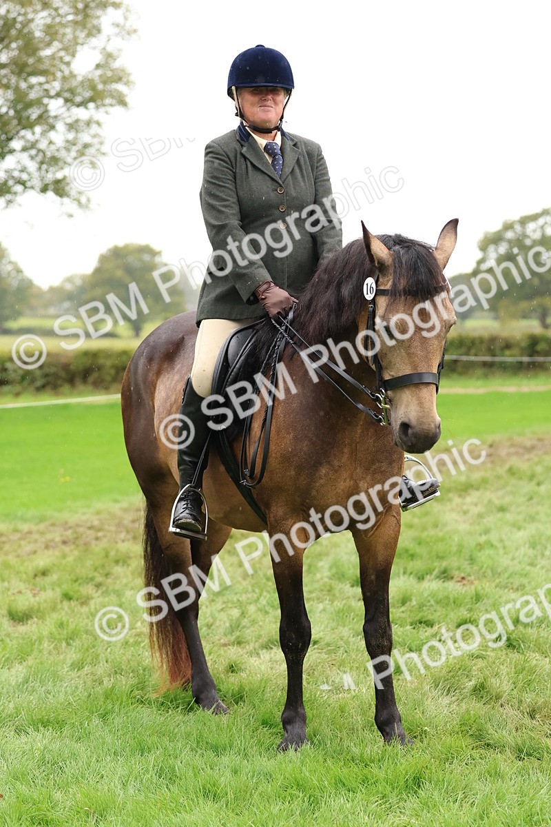 SBM_45039 - S27 - Young Veteran Ridden