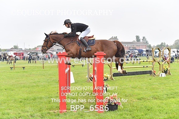 BPP_6586 - CLASS 1 Senior Newcomers/ 1.10m Open