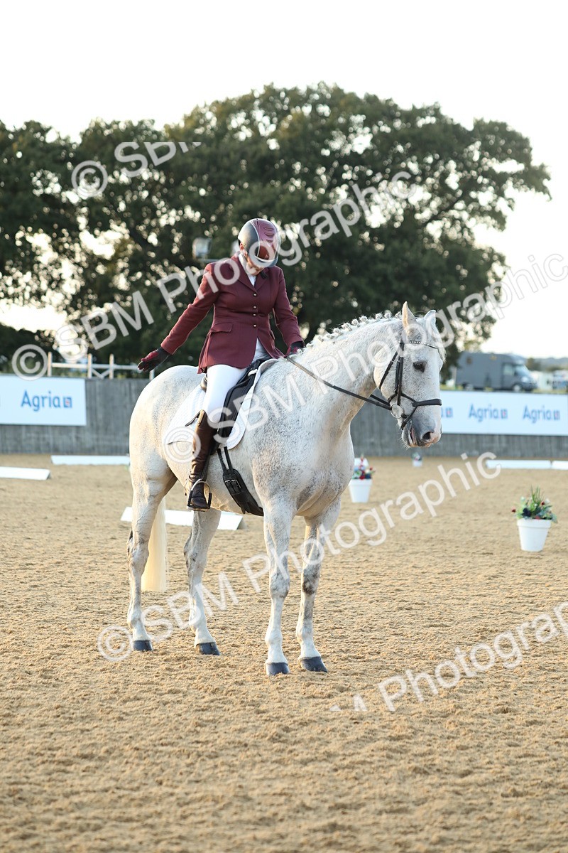 SBM_31202 - D20 - Grand Tour Championship - Elementary 44