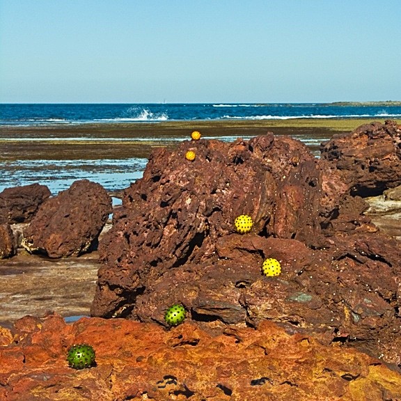  - STILL LIFE IN LANDSCAPE