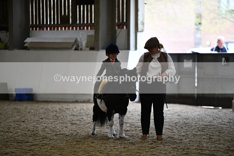WJ5_6676 - Class 10 Childs Pony