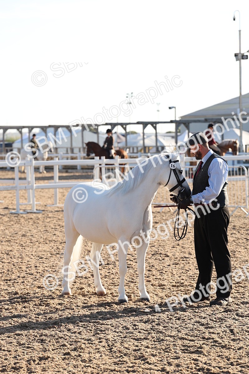 SBM_10765 - Class 201 - Best Turned Out - IH