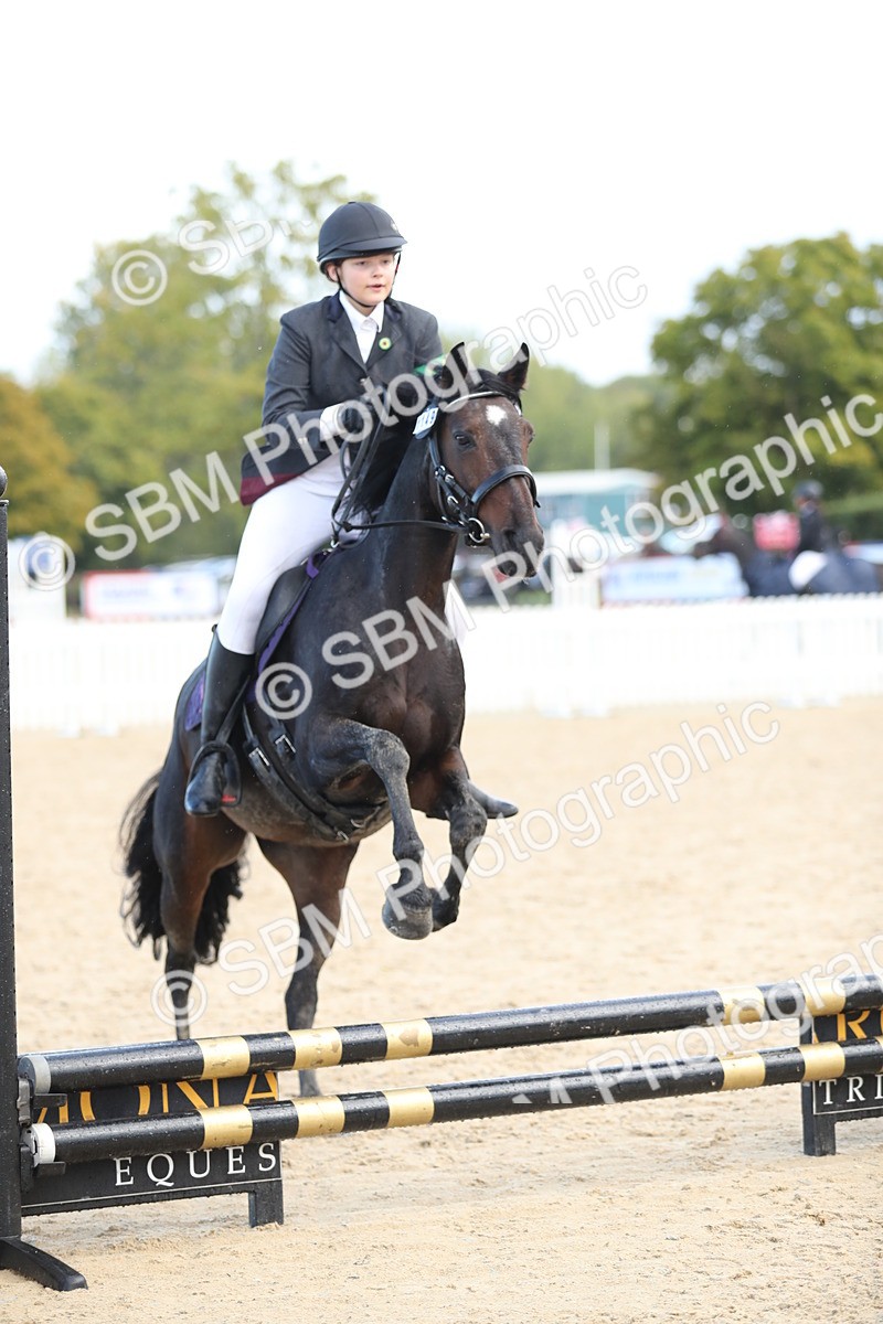 SBM_37270 - J20 - Junior Horse 50cm Championship