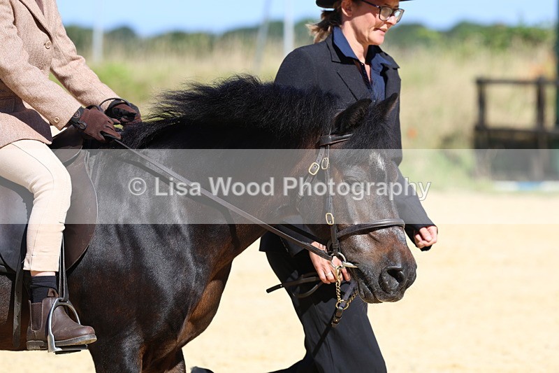 3E7A8070 - Class 15: Lead Rein