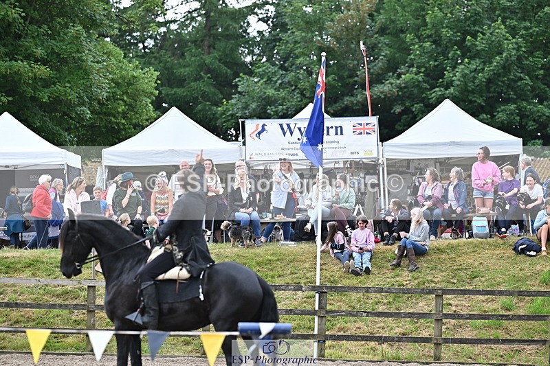250524A-155637-13058 - Demo Arena Crowds