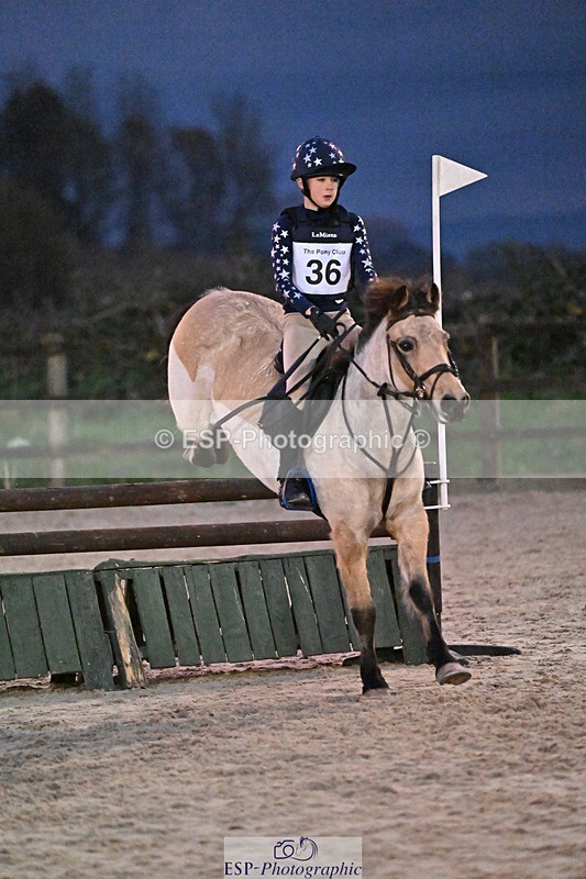 241110-164934-01501 - 90-95cm Arena Eventing