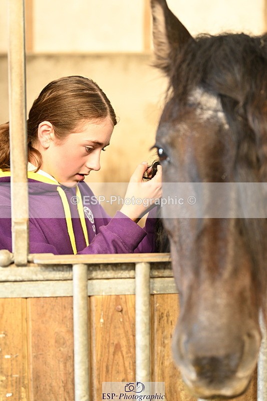 240809A-090311-00047 - Stable Shots