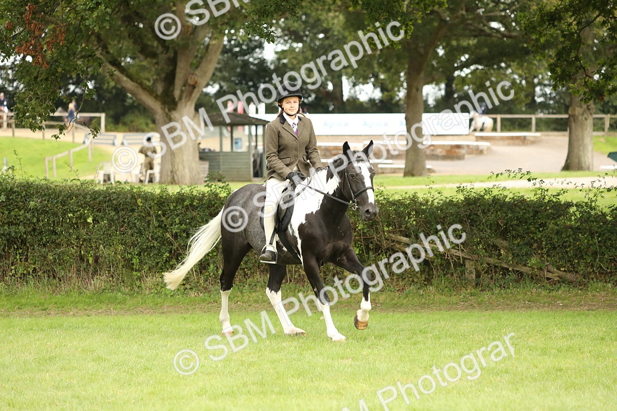 SBM_71620 - S41 - Ridden Equitation (Best Rider)