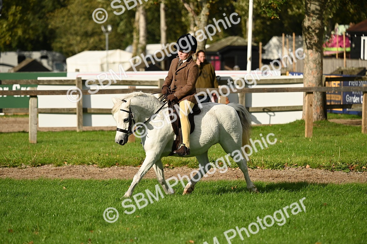 SBM_26648 - S7 - Novice & Newcomer Ridden Pony
