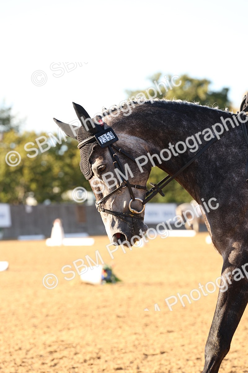 SBM_52811 - D12 - Small Tour Championship prelim 2