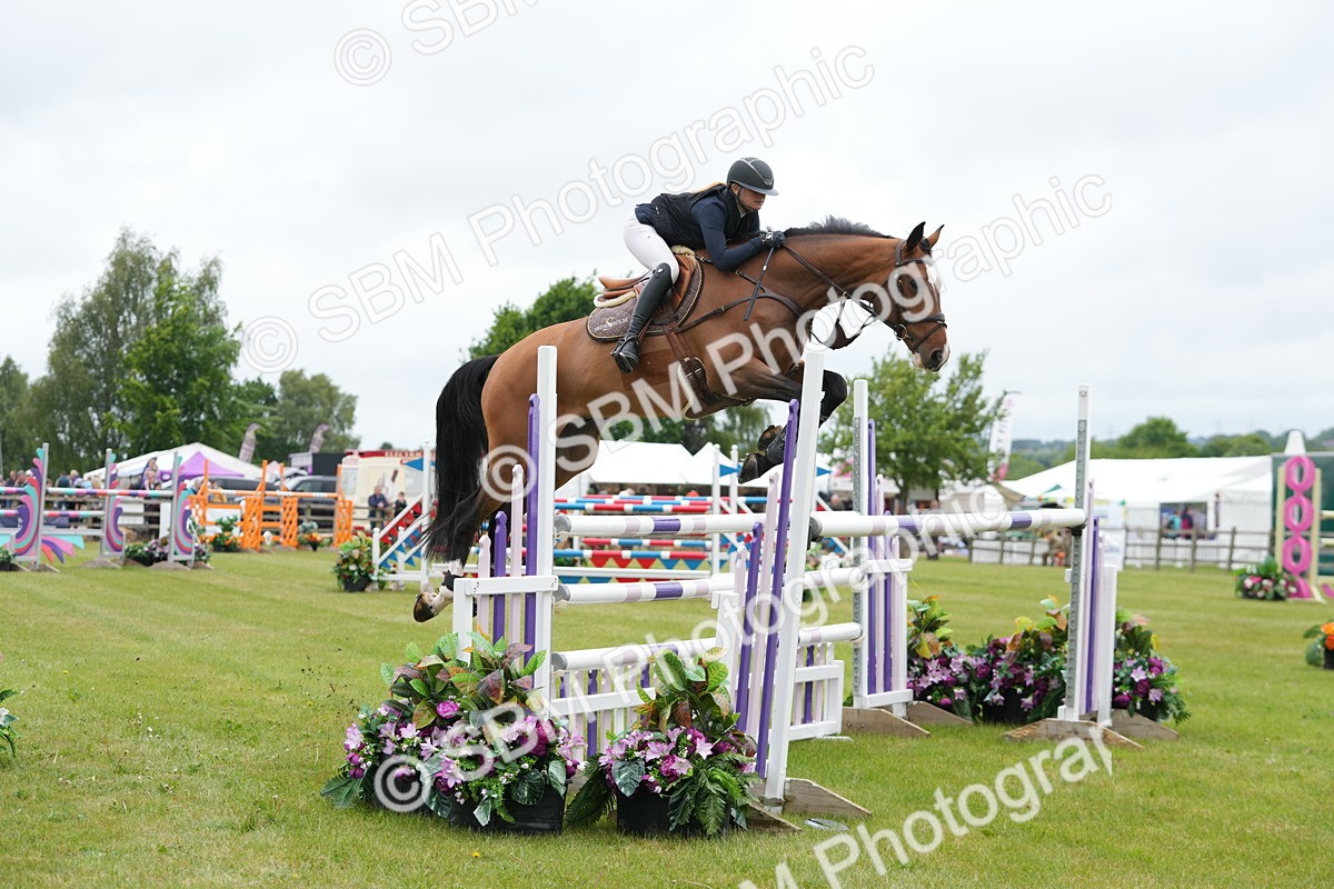SBM_02996 - Class 201 - British Horse Feeds Speedi Beet Horse of the Year Show Grade  C