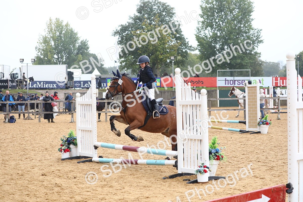 SBM_71633 - J4 - Mini Tour Junior Pony 45cm Championship