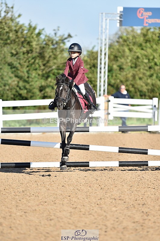 230903A-090032-03422 - Cls 17 Pony Intro 75cm