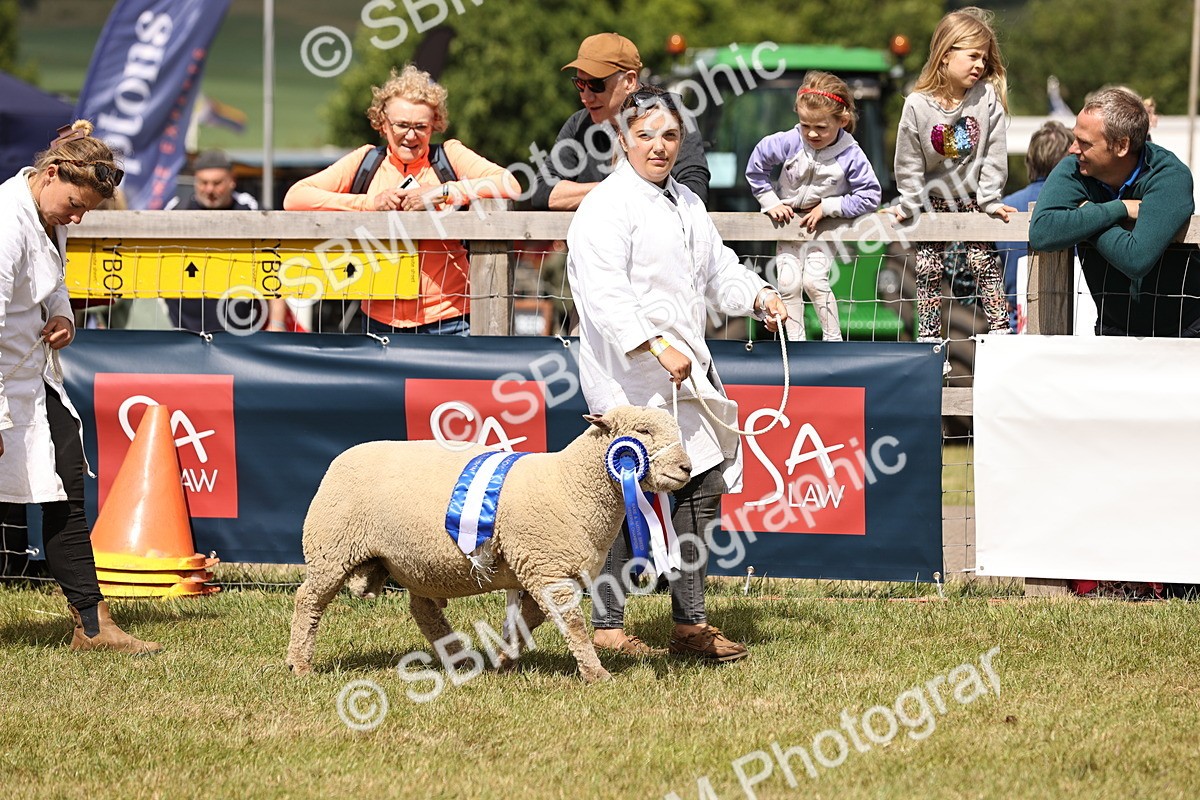 SBM_16840 - Grand Parade