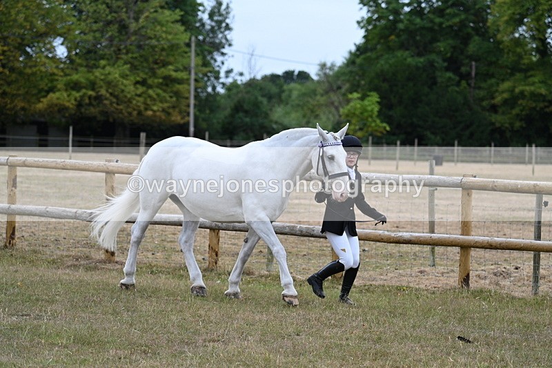 WJ7_8865 - Class 4a Prettiest Mare 14.2hh and over