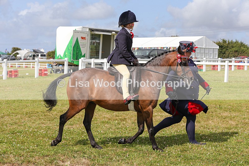 1X9A3648 - Class 29: Lead Rein SP/SHP