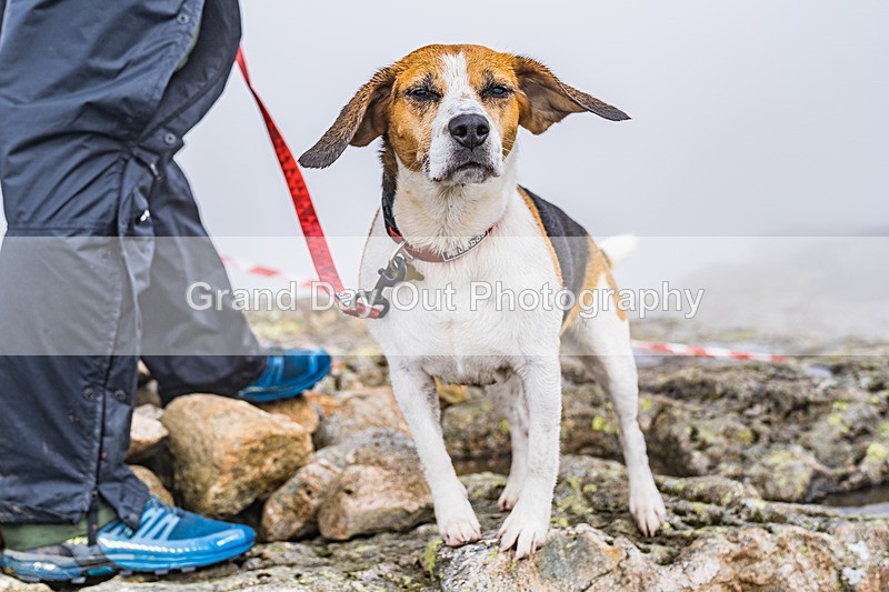 Great Lakes-382 - Great Lakes Fell Race Saturday 29th June 2024