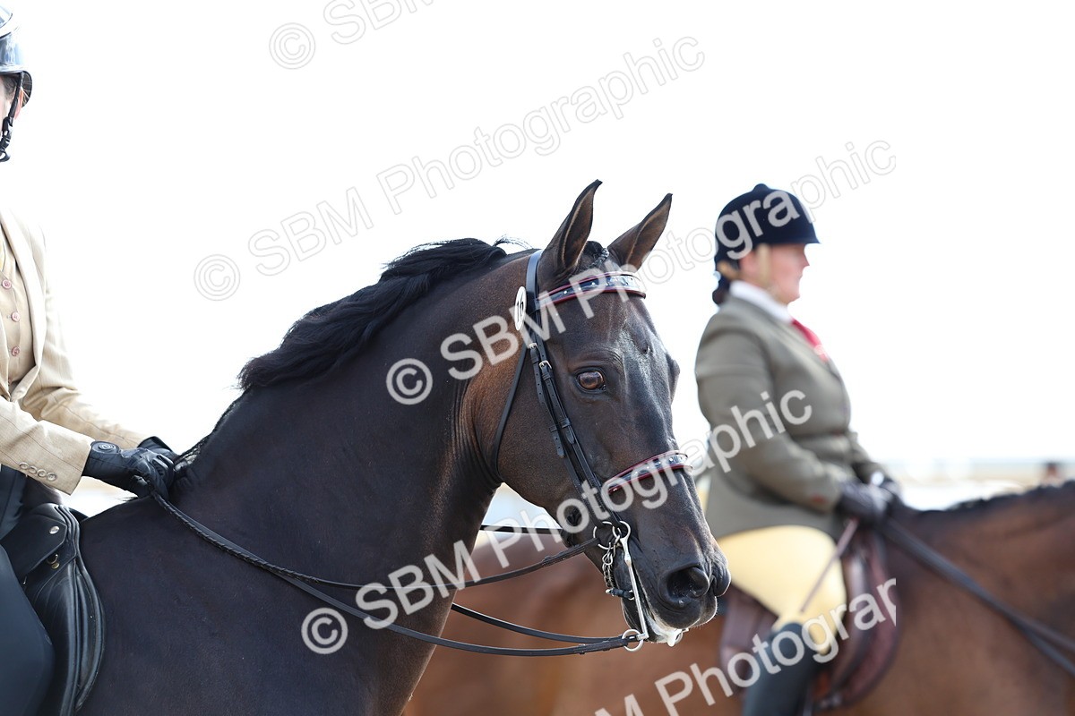 SBM_09168 - Class 303 - Ridden Pure Bred Horse Pony