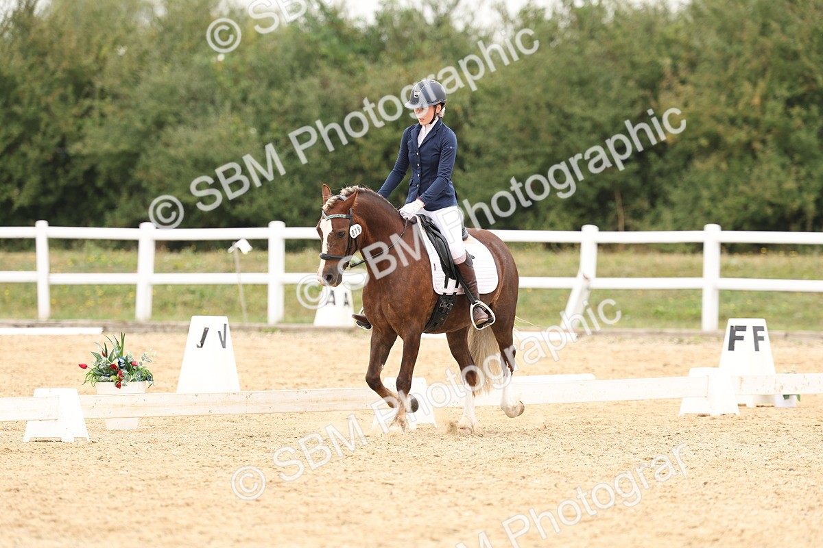 SBM_01040 - Class 8 - Novice 27 Champs