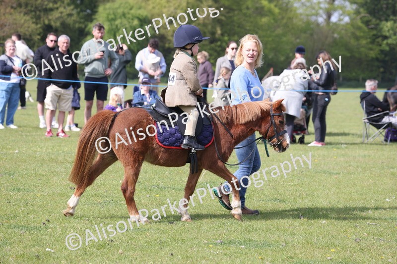 20260426-0453 - Class 30 - Tiny Tots Lead Rein
