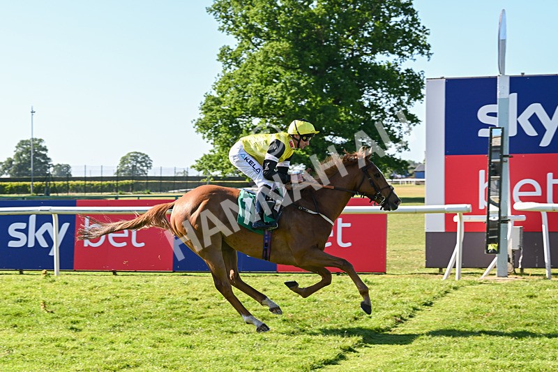 170525-Race 7-Capital Guarantee-8908 - Race 7