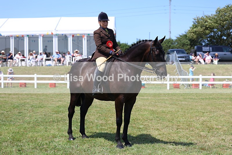 3E7A8269 - Class 9A: Open Small Hunter
