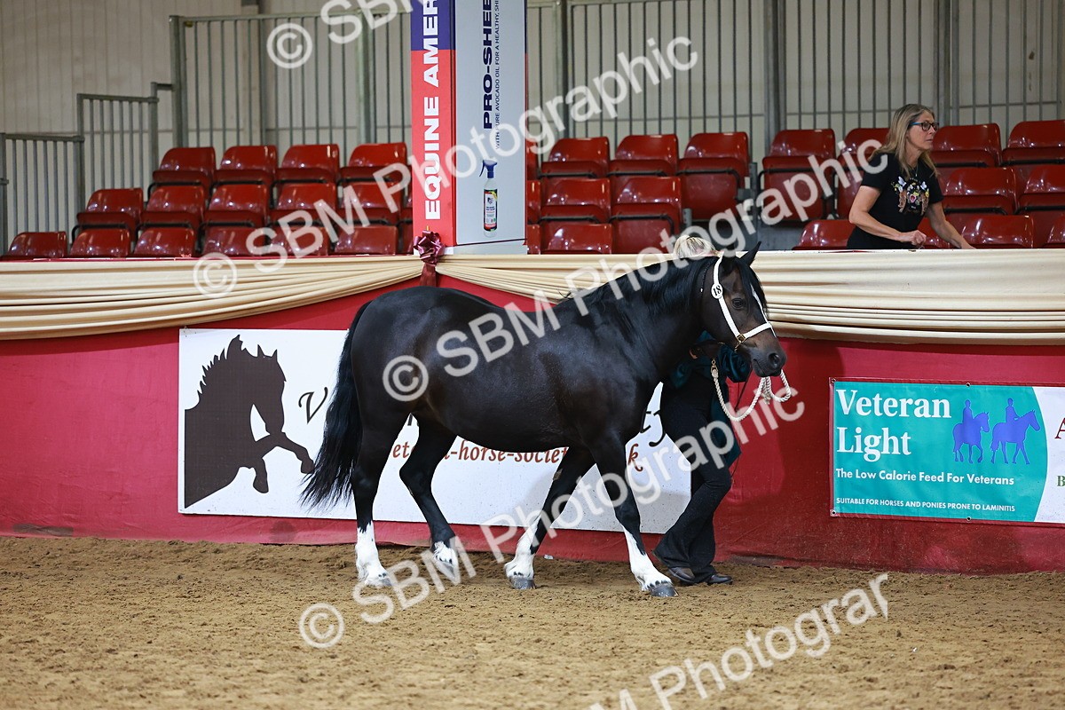 SBM_18395 - Class 903 - Sup Final - IH Pre Vet