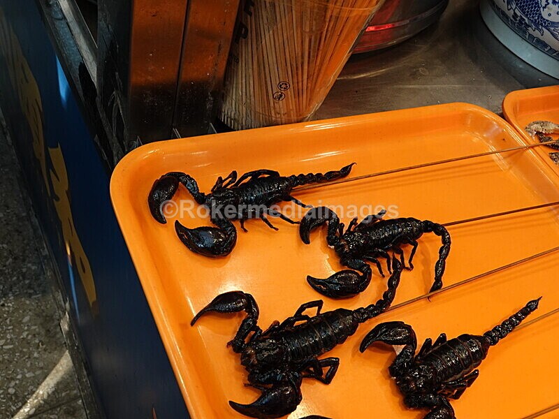 CHINA__1280 - China 2019