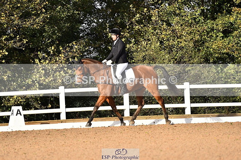 231104A-102402-01339 - Cls 2 Prelim 19