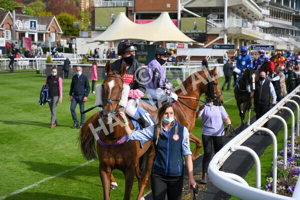 yr12052021r7-8 - Race 7 4.50 pm Conundrum HR Consulting Stakes