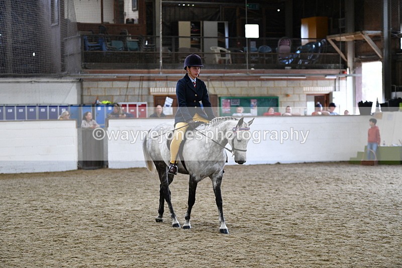WJ5_7743 - Class 13 Ridden Part Breed