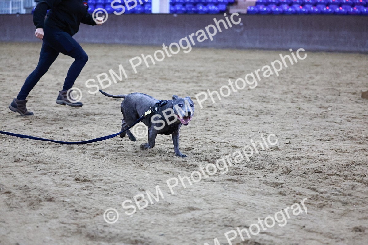 SBM_005997 - Evening Performance